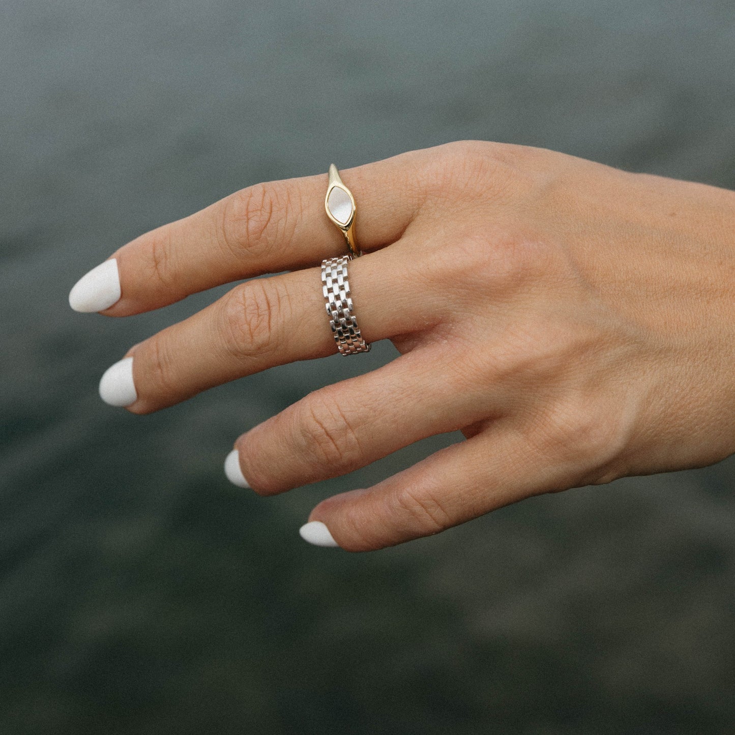 Panther Chain Ring